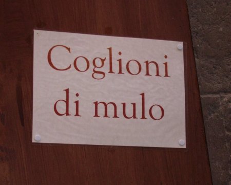 100-Roma_2011-200.JPG.medium.jpeg